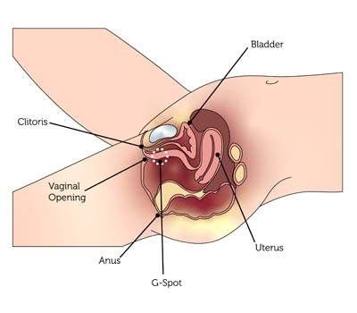 O-Shot female sexual treatment Hospital Ghaziabad